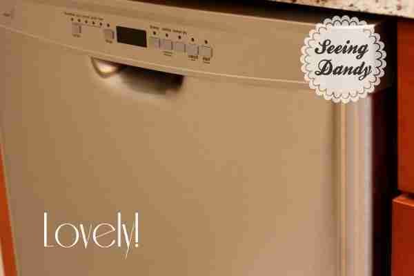 Best way to clean stainless steel dishwasher.