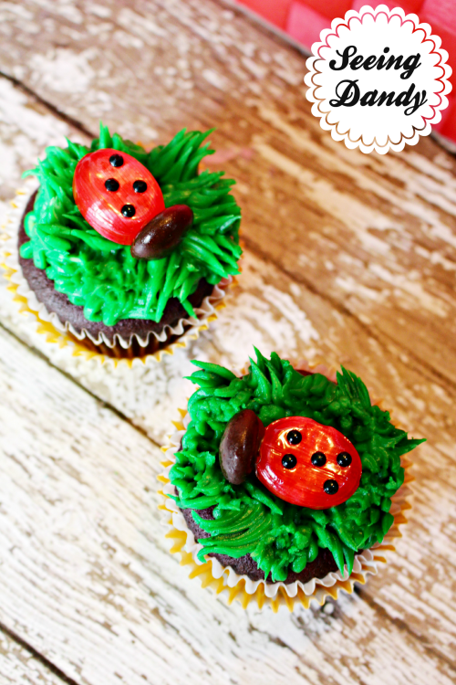 Easy to follow instructions for making ladybug birthday party cupcakes.