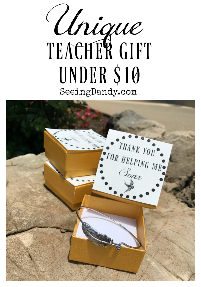 Unique teacher gift idea that's under $10.
