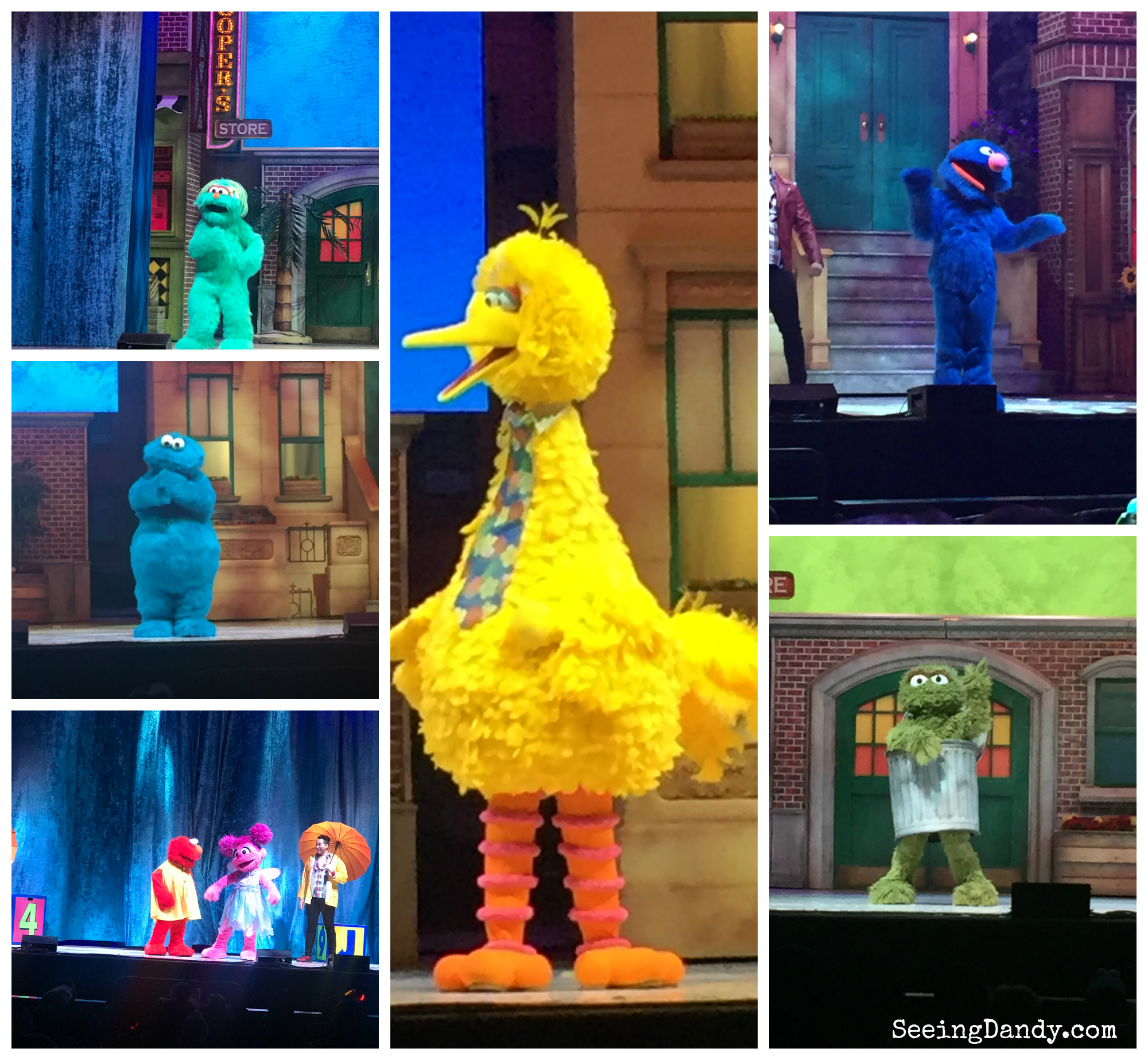 Sesame Street Live characters performing at family Valentine's Day show.