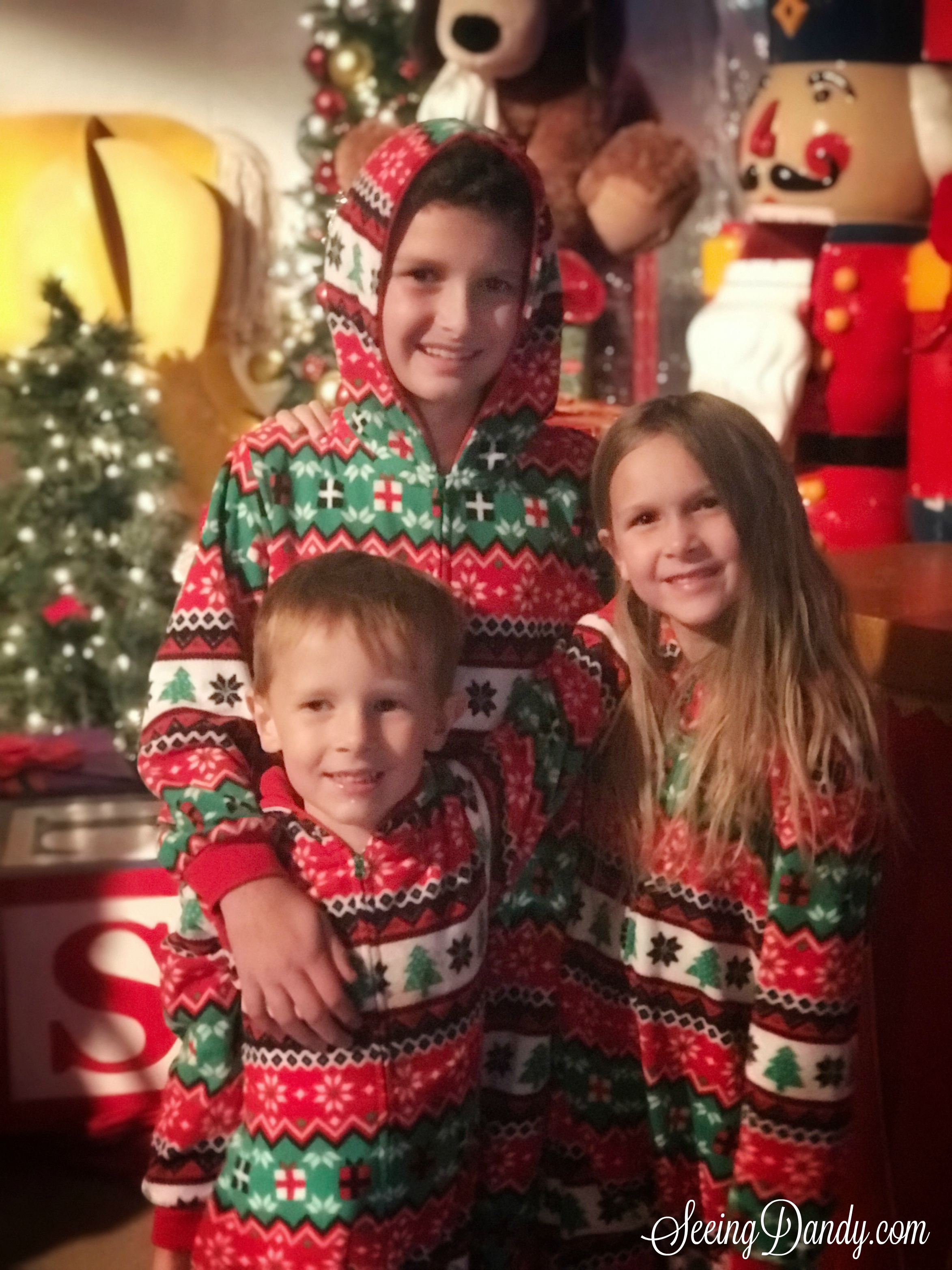 Kids love Polar Express tickets with Nutcracker themed Christmas decorations.