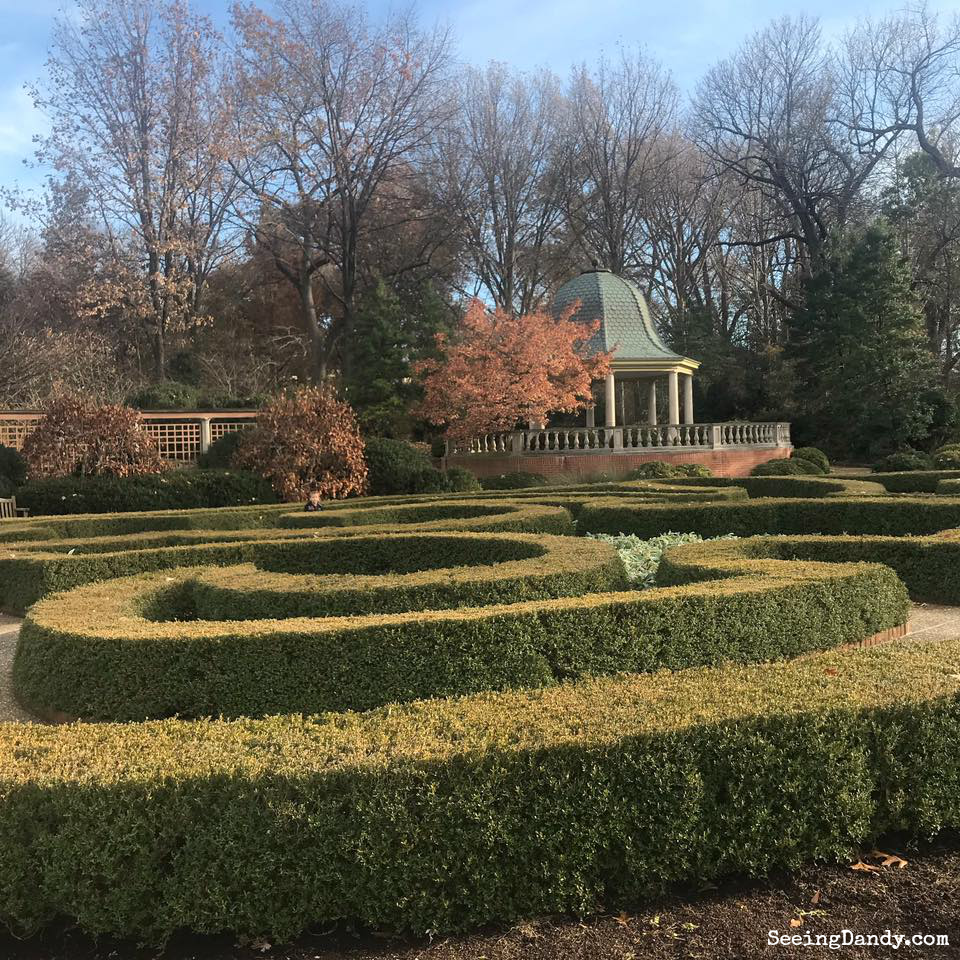 Boxwood hedge maze in the St. Louis Missouri Botanical Garden with vintage gazebo.