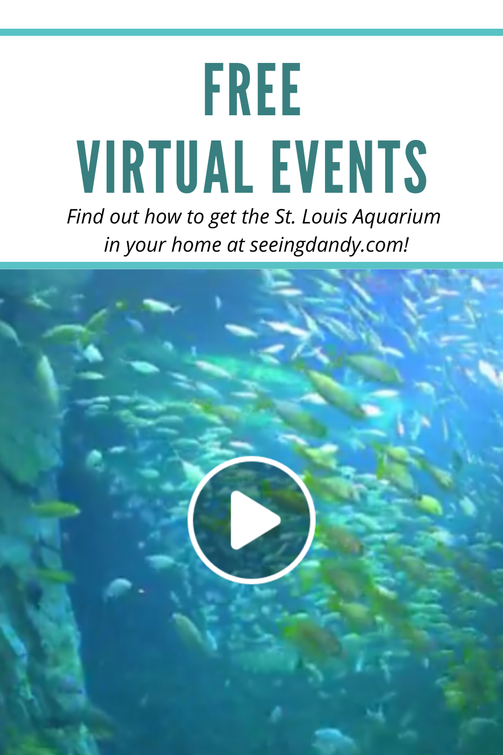 Free fun St. Louis Union Station aquarium virtual events