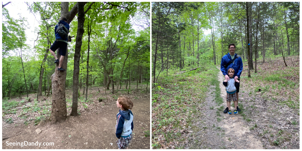 family hiking, st. louis family, hiking adventures, hiking trail, tree climbing