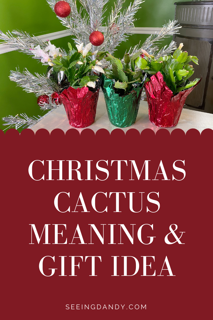 christmas cactus mean, christmas cactus gift idea, retro christmas tree, vintage christmas tree, aluminum christmas tree, farmhouse table, red christmas ornaments