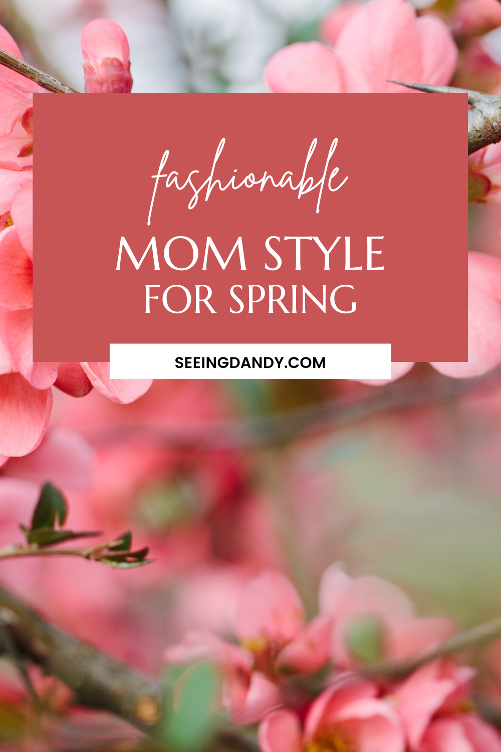 spring fashion, macys sale, macys friends and family, macys fashion, spring style, fashionable mom style, pink flowering tree