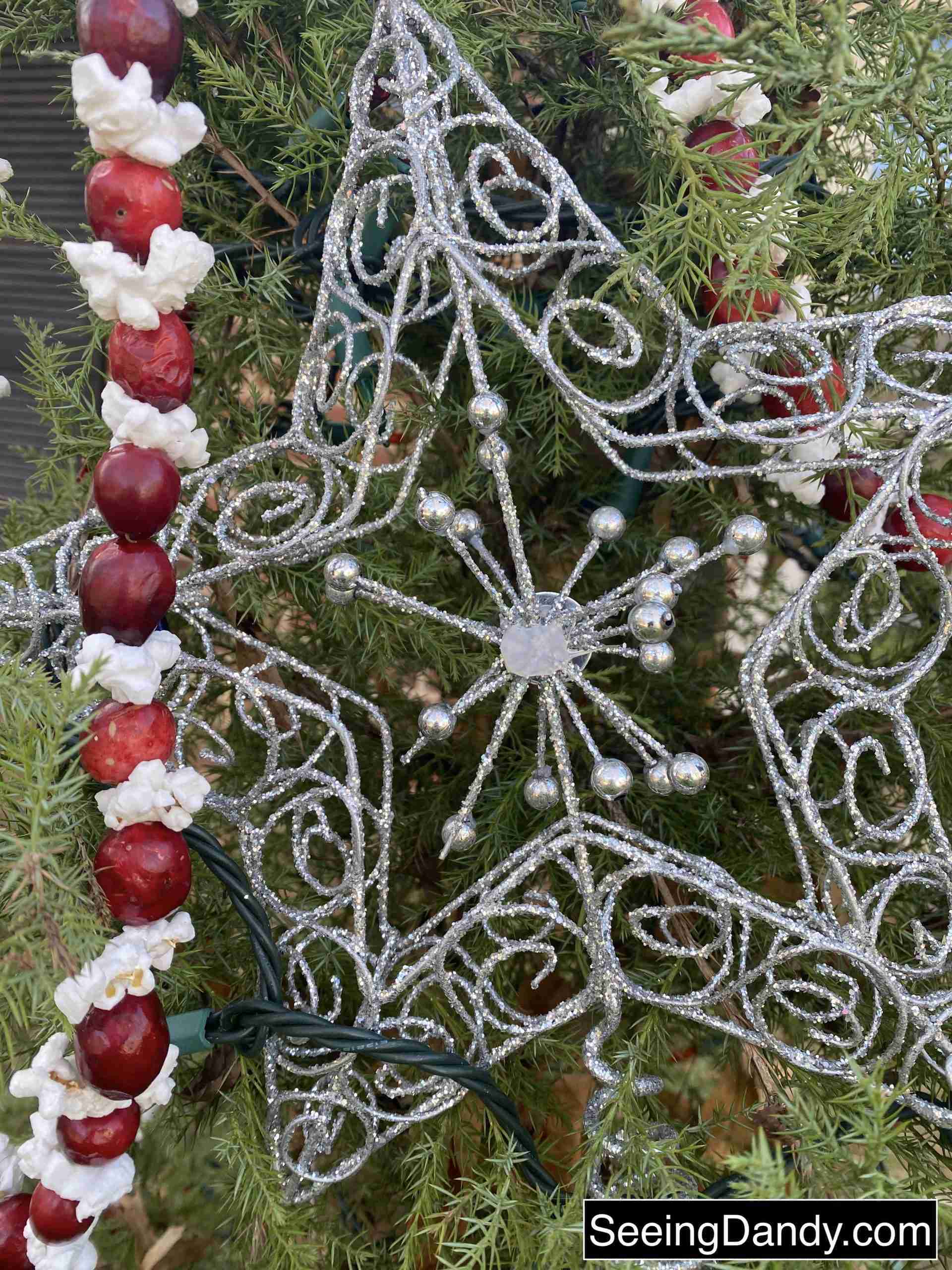 outdoor christmas tree with silver star and cranberry popcorn garland