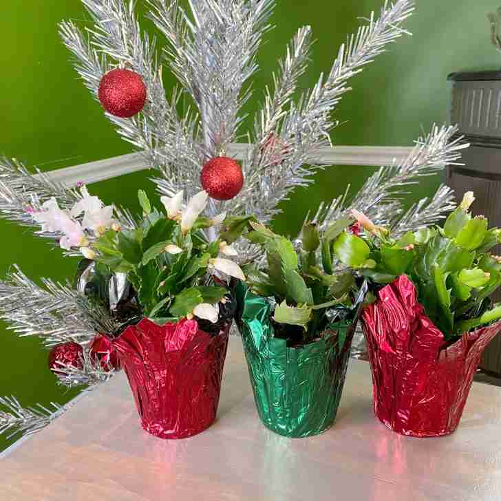 christmas cactus mean, christmas cactus gift idea, retro christmas tree, vintage christmas tree, aluminum christmas tree, farmhouse table, red christmas ornaments