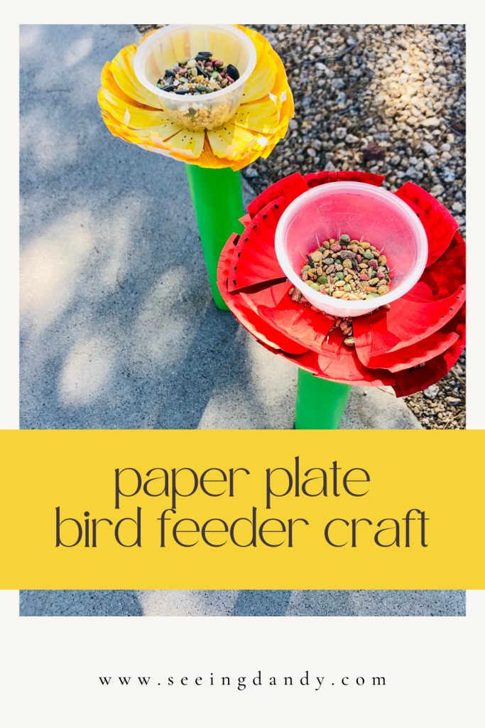 paper plate bird feeder